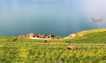 和谐是一种风景