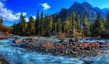 藏在野山中的溪流