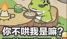 我变成了一只青蛙