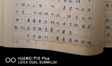 人间处处有关爱