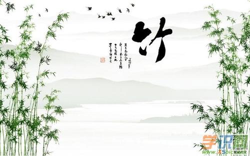 描述竹子的成分