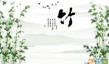 描写竹子的作文