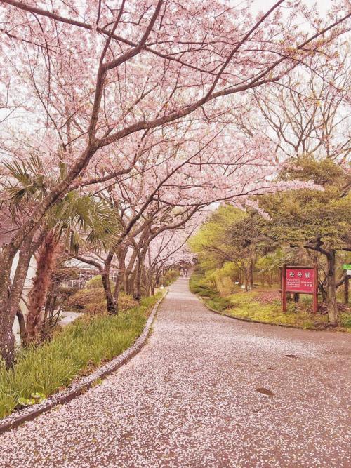 春季郊游和雨