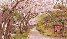 一场春游一场雨