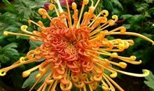 又是一年寒风起