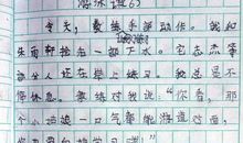 暑假里的一件事作文300字