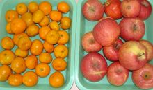 秋天的味道——蜜桔