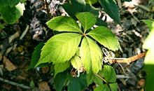 新的生活从那一缕阳光开始