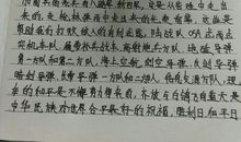 记一次难忘的谈话