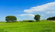 赛汗塔拉城中草原