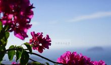 两分钟，是长是短？