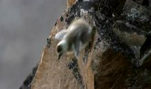 令人惊心动魄的一幕