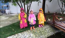 我和春雨的约会