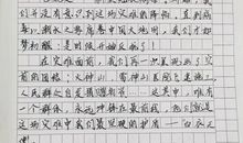 关于医护人员的作文