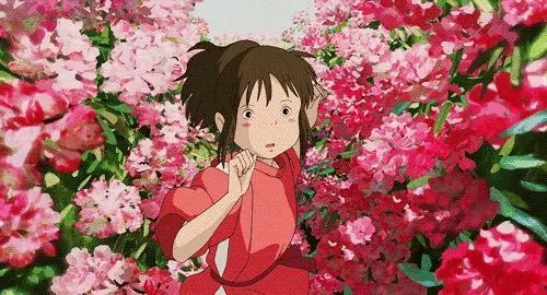 杜鹃枯萎了