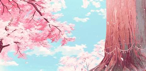 那个人那个东西