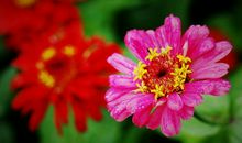 那个闷热的午后