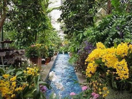 奶奶植物园