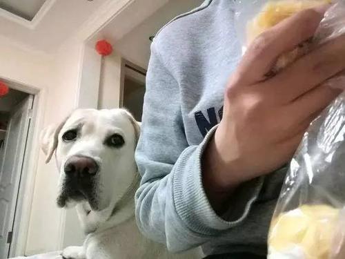 我鄙视的那个