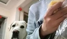 我最鄙夷的一个人