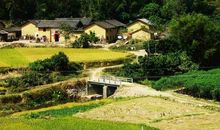 别了，我的故乡