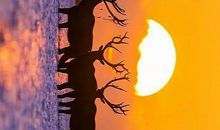 只是因为在人群中