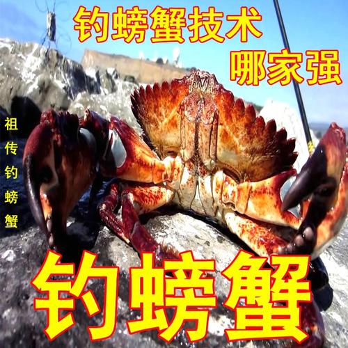 螃蟹捕捞的启示
