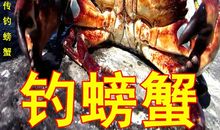 钓螃蟹的启示