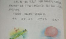 快乐的一天看图写话