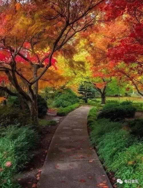春天的秋意