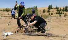 默默“种树”的人