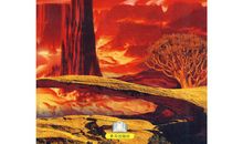 在纸中发现奥秘