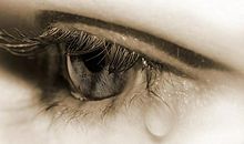 记忆中那独一无二的眼睛