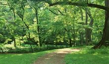 散步的感觉真好