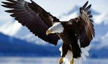 人生难得几回搏