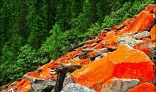 最美不过一片红海