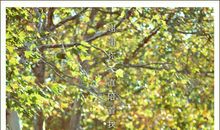 那一刻，我好幸福