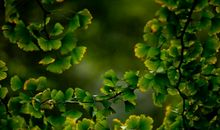 心中那一抹温暖