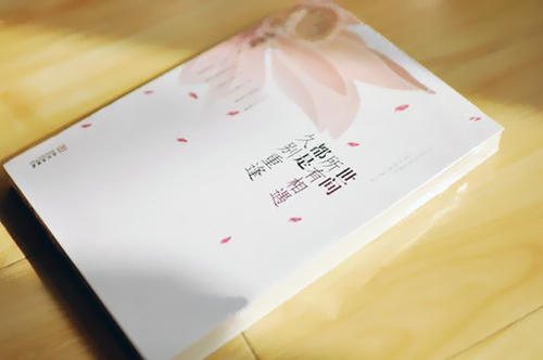 最美丽的encounter