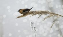 冬天来了春天还会远吗