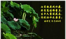 那荷花触动了我