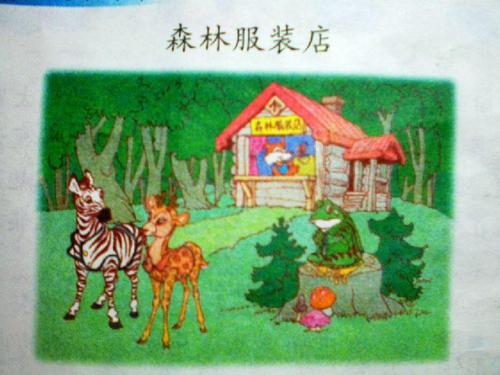 雨后的森林