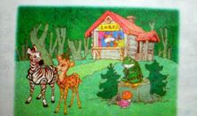 雨后的森林看图写话