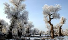 冬天来的时候，阳光格外暖和