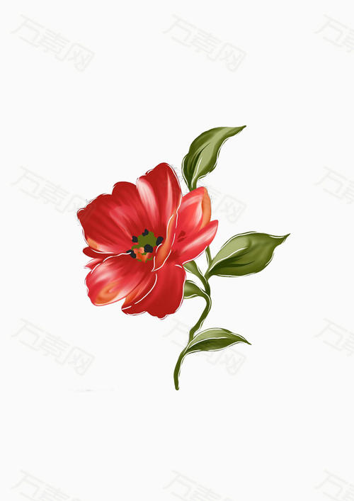 一朵红花的命运