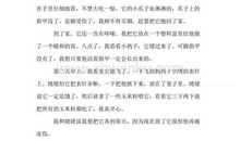 描写鸽子的作文