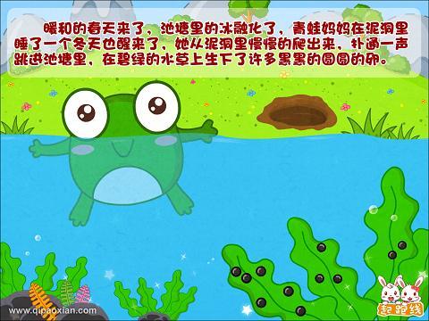 教室里的青蛙