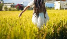 那个最爱我的人