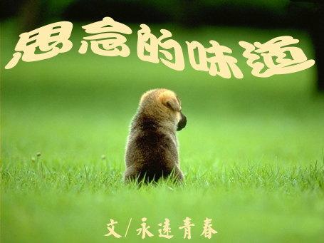 什么不见​​了