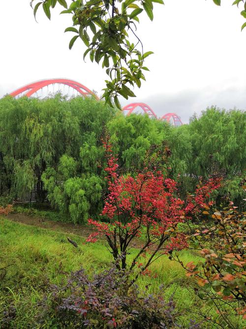 雨中河滨公园